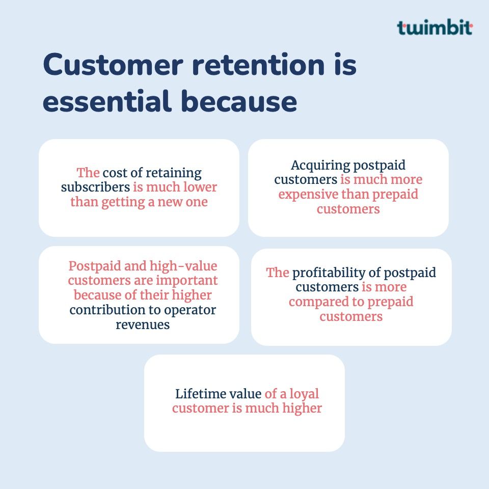 The Tinted Story Customer Loyalty Program - A Case Study