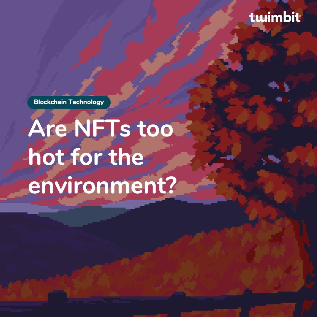 Are NFTs too hot for the environment? Twimbit
